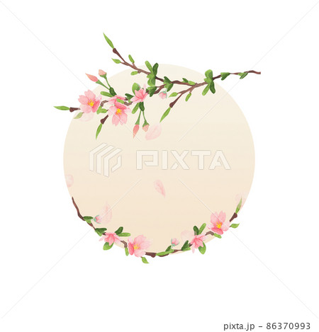 cherry blossom watercolor round frame on white background cherry blossom watercolor round frame on white background 86370993