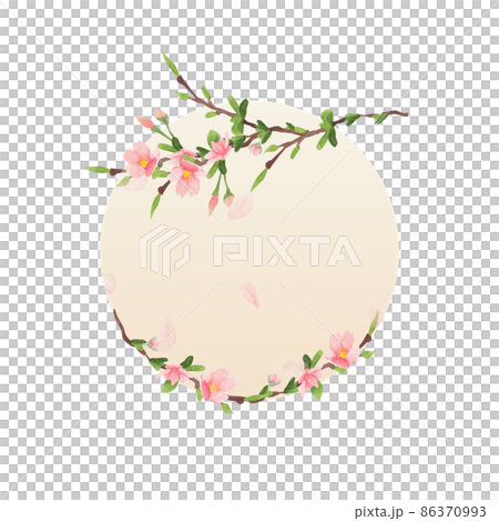 cherry blossom watercolor round frame on white background cherry blossom watercolor round frame on white background 86370993