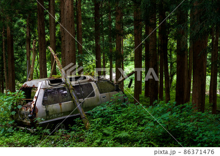 【草ヒロ】森の中で佇む廃車体 86371476