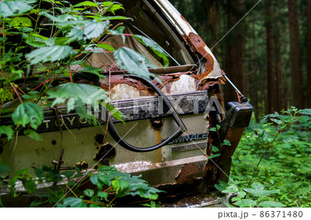 【草ヒロ】森の中で佇む廃車体 86371480
