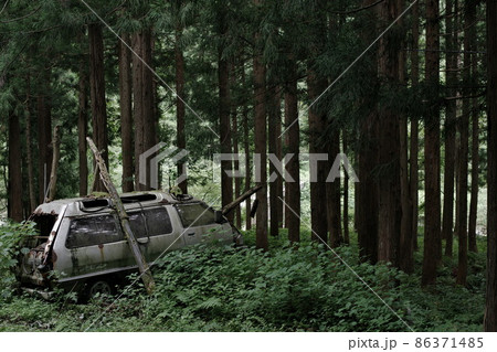 【草ヒロ】森の中で佇む廃車体 86371485