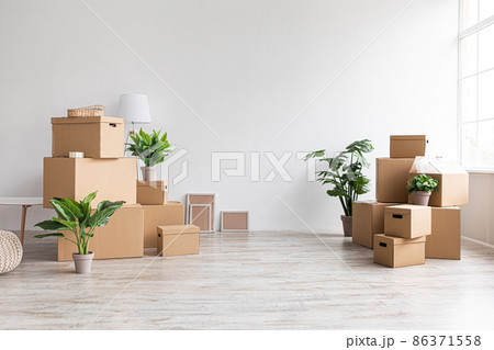 A lot of cardboard boxes with stuff and plants on floor in room with window without furniture in morning 86371558