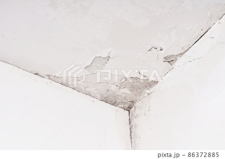 Fungus and mold on the wall in the damp corner of the house. Loose plaster, problems with poorly built housing and a humid climate 86372885