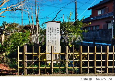 野間大坊(大御堂寺)の血の池:愛知県知多郡美浜町 野間大坊(大御堂寺)の血の池:愛知県知多郡美浜町 86375178