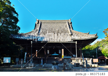 野間大坊(大御堂寺)の本堂:愛知県知多郡美浜町 野間大坊(大御堂寺)の本堂:愛知県知多郡美浜町 86375183