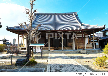 長島の願證寺 本堂:三重県桑名市長島町 長島の願證寺 本堂:三重県桑名市長島町 86375211