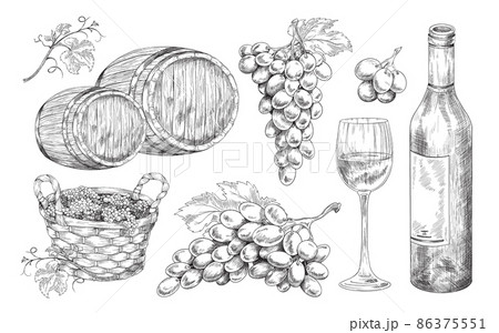 Hand drawn winery elements set, engraving style vector illustration isolated. 86375551