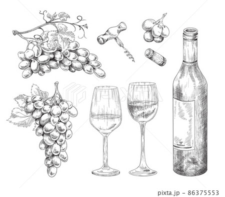 Winery collection with utensils and grape sketch vector illustration isolated. 86375553