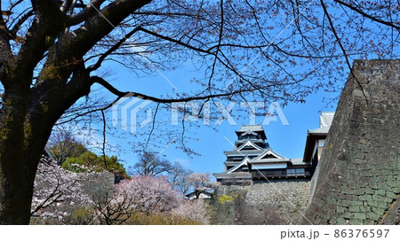 震災前の熊本城 桜の咲くころ 震災前の熊本城 桜の咲くころ 86376597