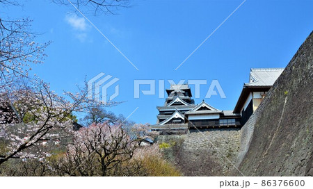 震災前の熊本城 桜の咲くころ 震災前の熊本城 桜の咲くころ 86376600