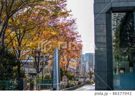 東京歯科大学病院前/東京都 東京歯科大学病院前/東京都 86377042