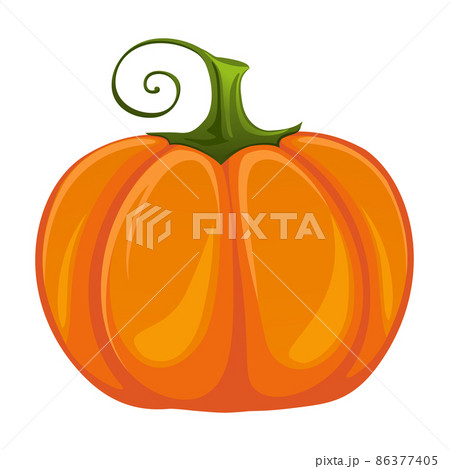 Realistic fresh ripe pumpkin isolated on white background - Vector 86377405