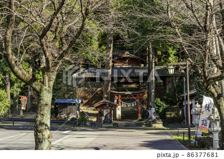 小幡　小幡八幡宮　参道　群馬県甘楽町 86377681