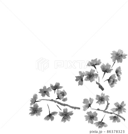 右下の桜の枝と花挿絵モノクロイラスト（墨の手描きイラスト） 86378323