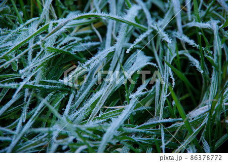 冬の景色 霜 冬の自然現象 草原 冬の景色 霜 冬の自然現象 草原 86378772