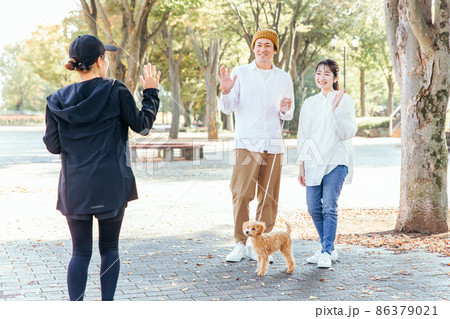 犬の散歩中に挨拶する男女 86379021