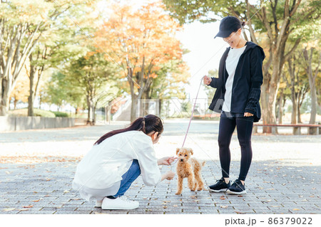 犬の散歩中に挨拶する女性たち 86379022