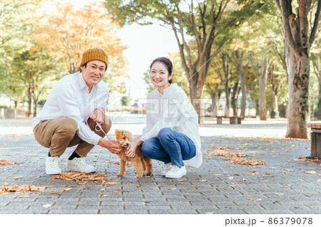 犬の散歩をする男女(座る) 犬の散歩をする男女(座る) 86379078