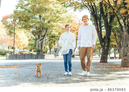 犬の散歩をする男女（歩く） 86379083