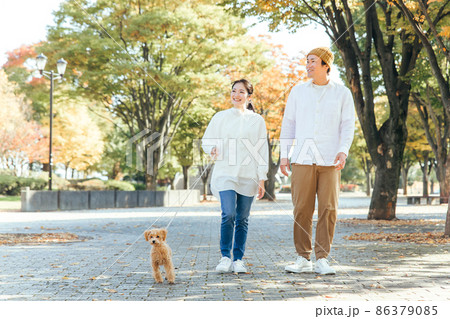 犬の散歩をする男女(歩く) 犬の散歩をする男女(歩く) 86379085