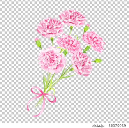 康乃馨花束絲帶水彩插圖 86379089
