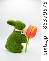 Green grass bunny presenting a tulip flower. 86379575