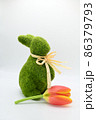 Green grass bunny brought an orange tulip flower. 86379793