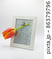 Wooden frame with attached tulip flower. 86379796