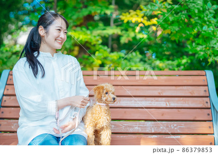 公園で犬と遊ぶ女性 公園で犬と遊ぶ女性 86379853