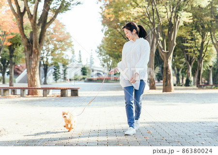 犬の散歩をする女性(全身) 犬の散歩をする女性(全身) 86380024