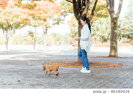 犬の散歩をする女性（全身） 86380026