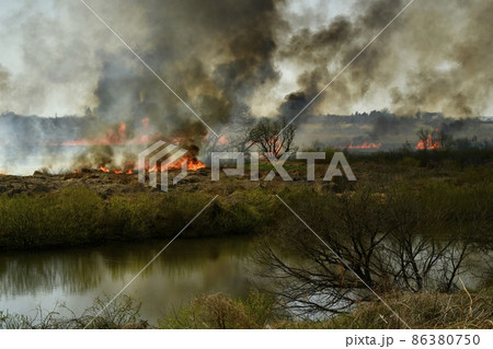 渡良瀬遊水地で起きた野火に渡良瀬川 86380750