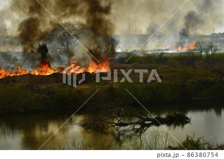 渡良瀬遊水地で起きた野火に渡良瀬川 86380754