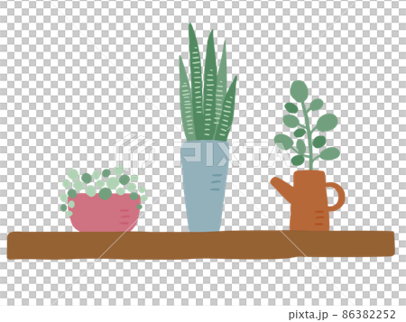 Cute botanical foliage plant set / hand-drawn illustration 86382252