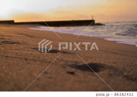 夕方の砂浜 86382432