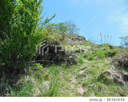 石垣整備工事前の平福「利神城跡」 86382648