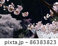 桜 86383823
