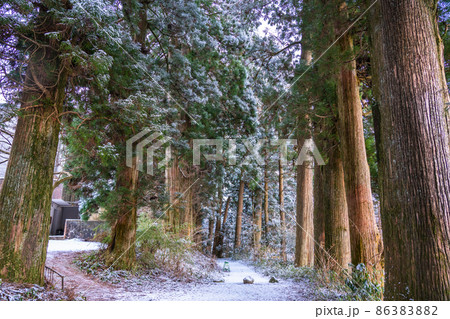《神奈川県》箱根旧街道杉並木・雪景色 86383882