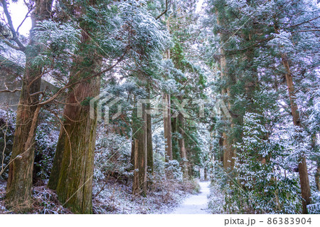 《神奈川県》箱根旧街道杉並木・雪景色 86383904