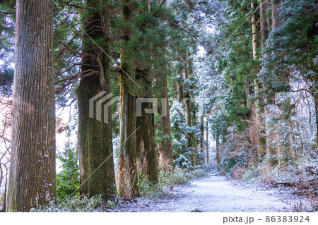 《神奈川県》箱根旧街道杉並木・雪景色 86383924