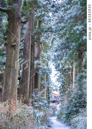 《神奈川県》箱根旧街道杉並木・雪景色 86383930