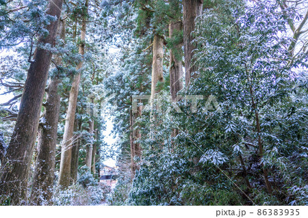 《神奈川県》箱根旧街道杉並木・雪景色 86383935