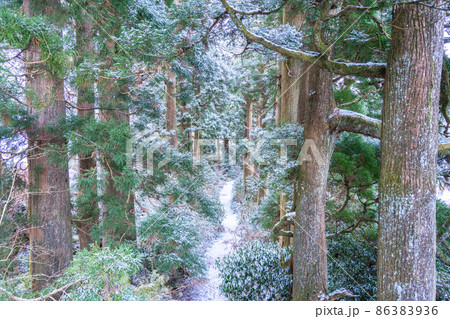 《神奈川県》箱根旧街道杉並木・雪景色 86383936
