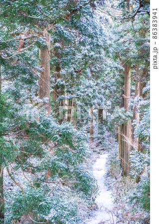 《神奈川県》箱根旧街道杉並木・雪景色 《神奈川県》箱根旧街道杉並木・雪景色 86383941
