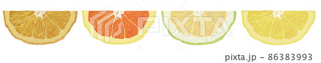 柑橘類4種半分_横長 86383993