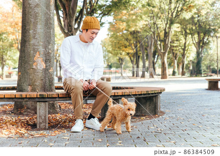 公園で犬と遊ぶ男性（全身） 86384509