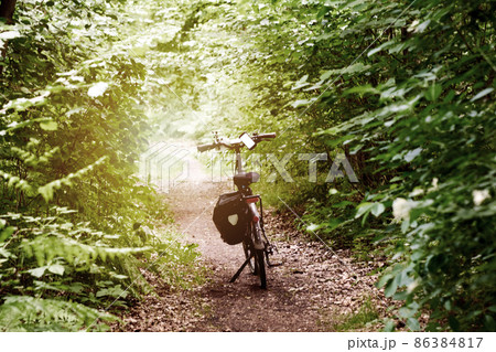 Bike on a dirt single trail with bushes and leaves on the side before reaching a clearing with bright sunshine 86384817