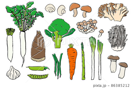 春野菜ときのこセット　手描きイラスト　野菜セット 86385212