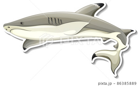 Shark cartoon sticker on white background 86385889
