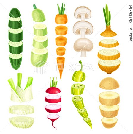 Set of vegetable slices lying in vertical rows. Healthy organic cutting potato, pepper, zucchini, onion, champignon, carrot, mushroom, radish vector illustration 86386364